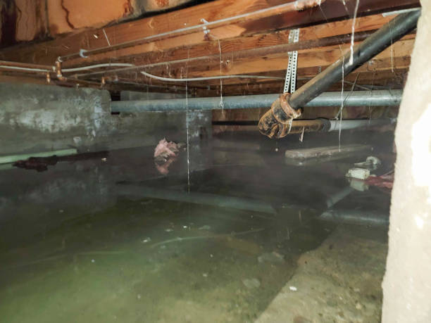 Best Water damage restoration cost  in North Enid, OK