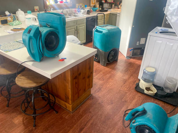 Best Carpet water damage restoration  in North Enid, OK