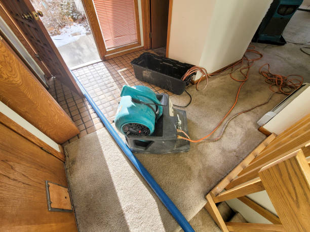 Best Flood damage cleanup  in North Enid, OK