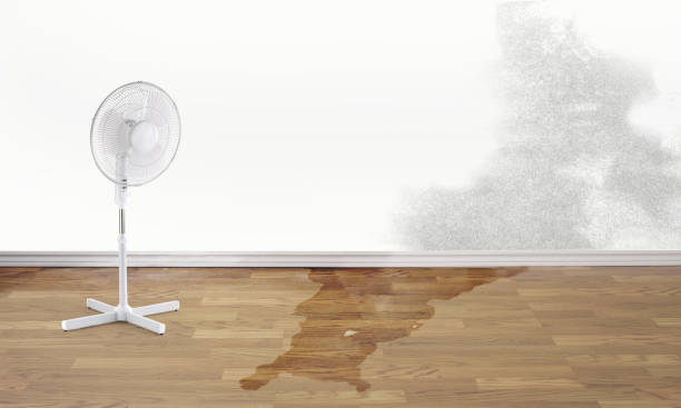 Best Water damage contractors near me  in North Enid, OK