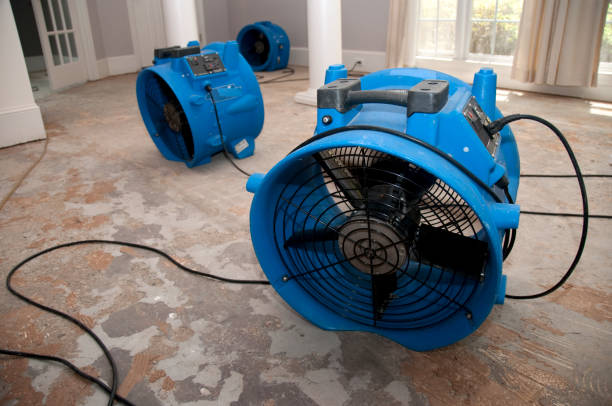 Best Professional water damage repair  in North Enid, OK