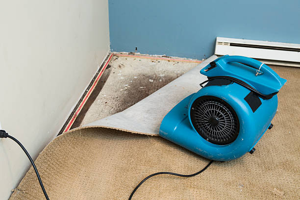 Best Flooded house restoration  in North Enid, OK